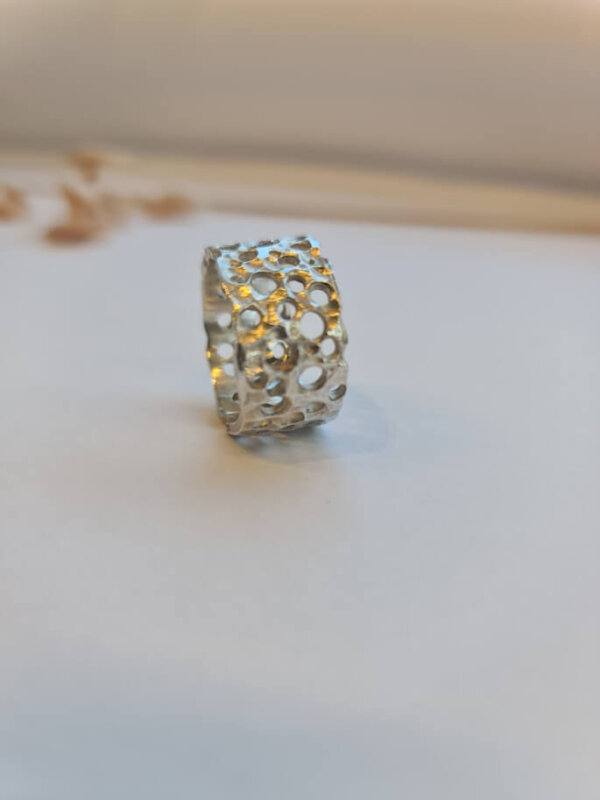 Tweedaagse Wasmodelleren